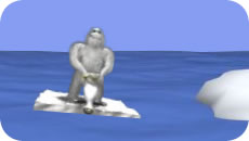 Yeti Seal Bounce 